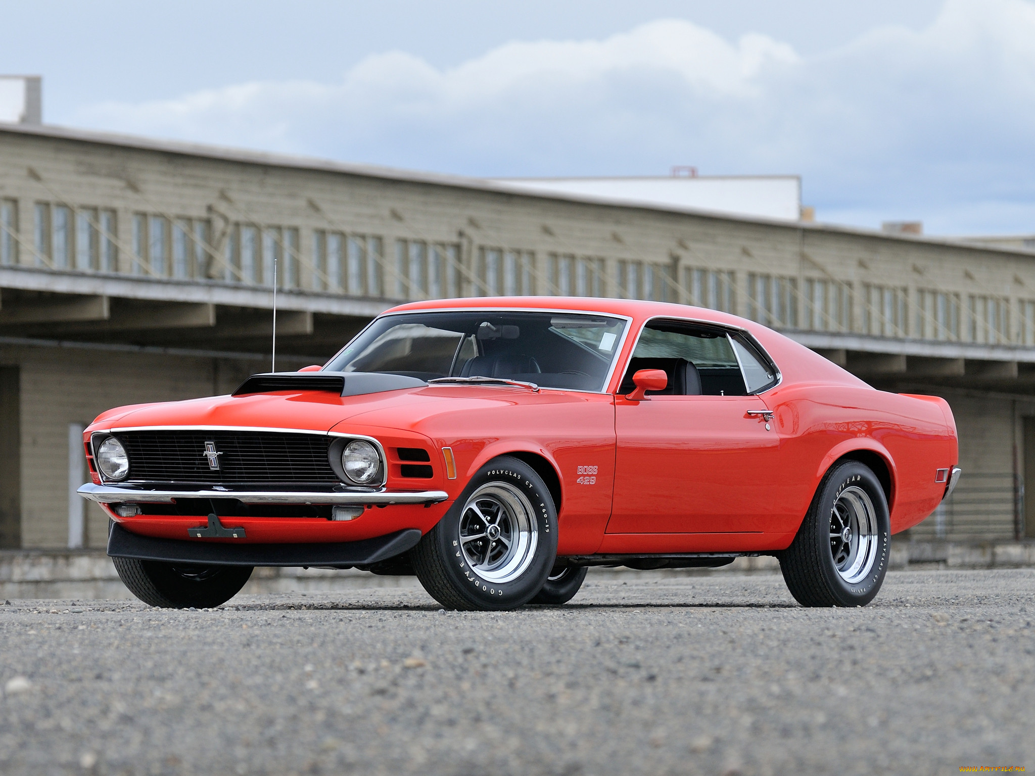, mustang